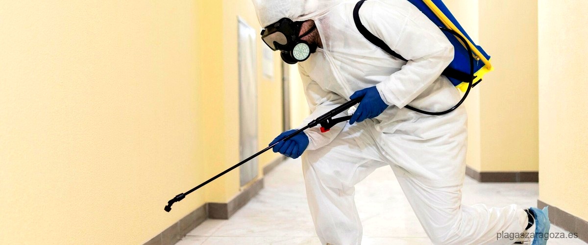 1. ¿Cuáles son los métodos más efectivos para controlar las plagas en mi hogar?