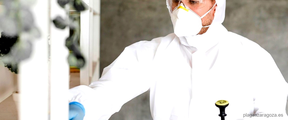¿Es seguro utilizar productos químicos en el control de plagas?